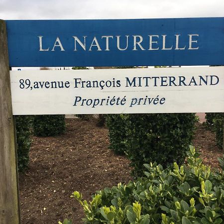 Vue Mer Sur La Cote D'Opale, Studio La Naturelle Pour 4 Personnes , ヴィムルー エクステリア 写真